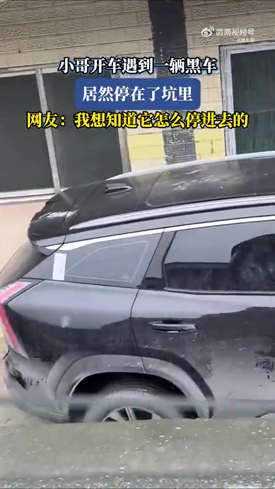 小哥开车遇到一辆黑车，居然停在了坑里，我想知道它怎么停进去的